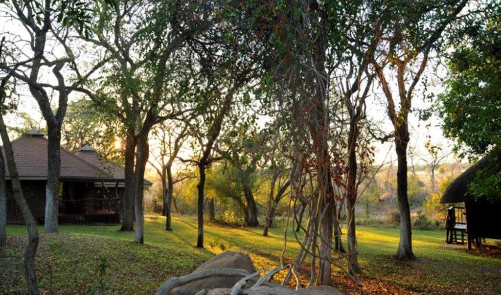 Idube Game Reserve Sabi Sand Game Reserve Exterior foto